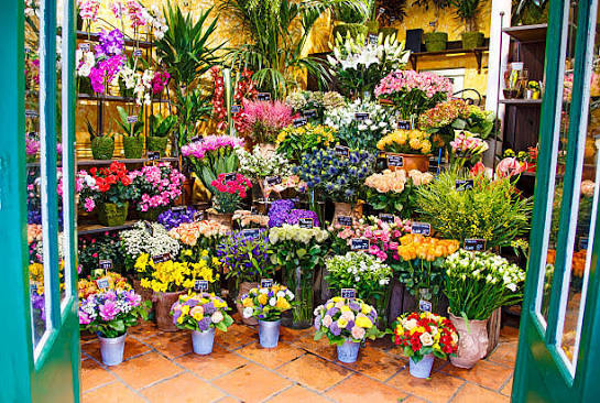 Flower Store Operations
